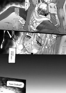 [Kajimura Market (Murasaki Kajima)] soRo style #17 (Ragnarok Online) [Korean] [Digital] - page 14