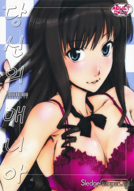 (C75) [SledgehammerOut! (Yoshijima Ataru)] Kimi no Mania (Amagami) (korean)