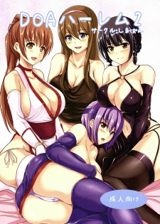 (C81) [ShimaPan (Ominaeshi)] DOA Harem 2 (Dead or Alive) [English]