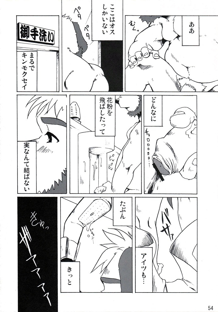 (BOOKET 8) [Douraku Kikou (gan son)] Sora No Iro Hana No Iro 02 page 54 full