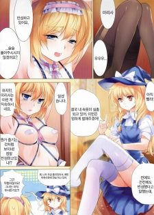 (C81) [Kyounetsuzanbun (PICO, Paintmusume)] Touhou Kinbakuroku (Touhou Project) [Korean] [Re:A] - page 13