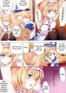 (C81) [Kyounetsuzanbun (PICO, Paintmusume)] Touhou Kinbakuroku (Touhou Project) [Korean] [Re:A] - page 14