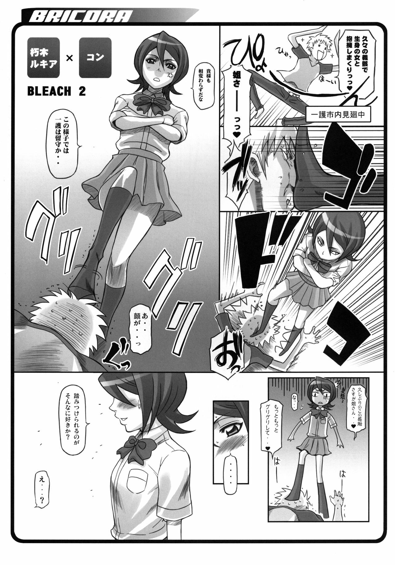 [Diogenes Club (Haikawa Hemlen)] BRICOLA Soushuuhen (Bleach) [Digital] page 10 full