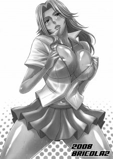 [Diogenes Club (Haikawa Hemlen)] BRICOLA Soushuuhen (Bleach) [Digital] - page 24