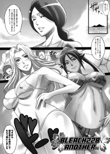 [Diogenes Club (Haikawa Hemlen)] BRICOLA Soushuuhen (Bleach) [Digital] - page 47