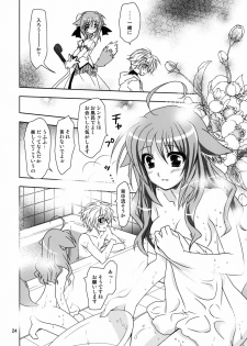 (COMIC1☆6) [Plum (Kanna)] Wonderful Agent (Dog Days) - page 24