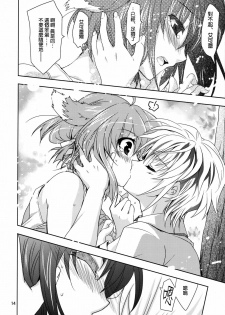 (COMIC1☆6) [Plum (Kanna)] Wonderful Agent (Dog Days) [Chinese] [空気系★汉化] - page 14
