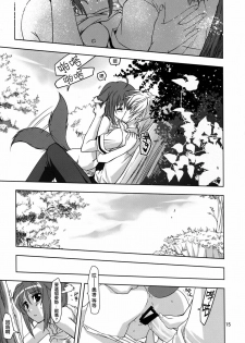 (COMIC1☆6) [Plum (Kanna)] Wonderful Agent (Dog Days) [Chinese] [空気系★汉化] - page 15