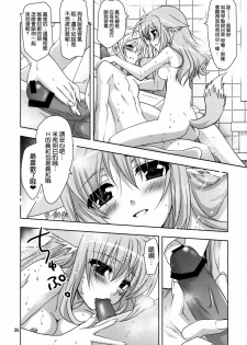 (COMIC1☆6) [Plum (Kanna)] Wonderful Agent (Dog Days) [Chinese] [空気系★汉化] - page 26
