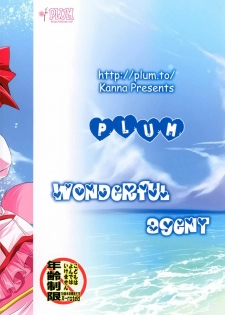 (COMIC1☆6) [Plum (Kanna)] Wonderful Agent (Dog Days) [Chinese] [空気系★汉化] - page 31