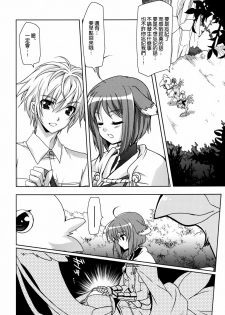 (COMIC1☆6) [Plum (Kanna)] Wonderful Agent (Dog Days) [Chinese] [空気系★汉化] - page 8