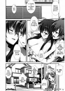 (COMIC1☆6) [WIREFRAME (Yuuki Hagure)] CRIMSON DxD (Highschool DxD) [Korean] [Project H] - page 17
