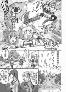 [Dead-Line-Pop-Mania] pretty-cue (Fresh Precure!)(Chinese) - page 3