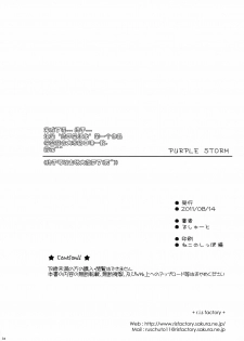(C80) [r.i.s factory (Ruschuto)] Purple Storm (Infinite Stratos) [Chinese] - page 34