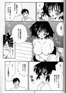 (C61) [NIKKA (Mario Kaneda)] C-HOBIT 2 (Chobits) - page 14
