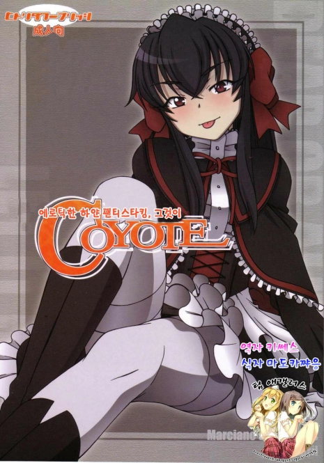 (C71) [Hitori Tower Bridge (Hakkyou Daioujou)] Erotic na Shiro Pansuto Sore ga COYOTE (Coyote Ragtime Show) [Korean] [팀 애갤러스]