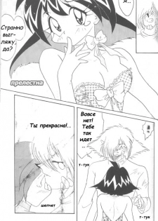 [Ginmomodou (Mita Satomi)] Slayers Adult 4 (Slayers) [Russian] - page 28