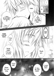 (C81) [SONIC WINTER (Tsukishima Kai)] Carol (Infinite Stratos) [English] - page 15