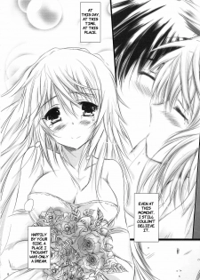 (C81) [SONIC WINTER (Tsukishima Kai)] Carol (Infinite Stratos) [English] - page 8