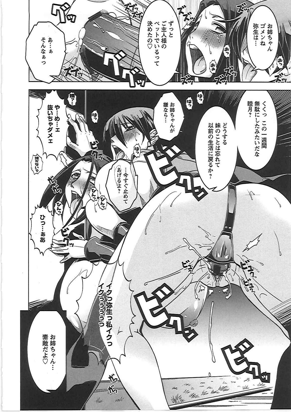 [HG Chagawa] Mesuinu no Hibi page 83 full