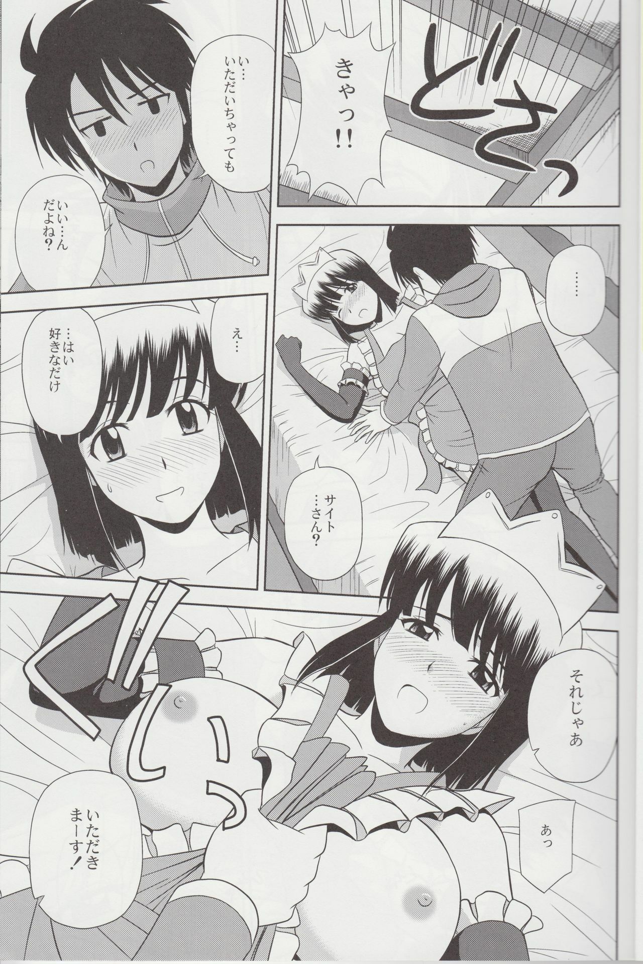 (C79) [G-SCAN CORP. (Satou Chagashi)] Le beau maitre 8 (Zero no Tsukaima) page 10 full