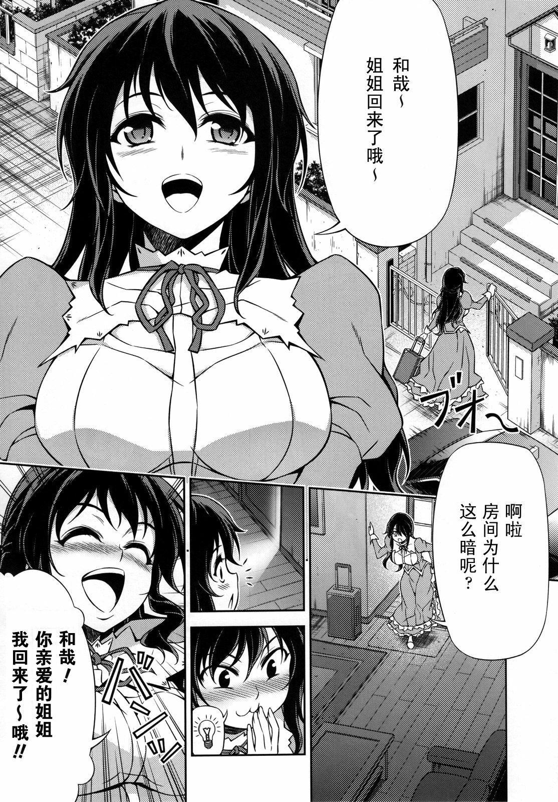 (C80) [CDPA (Various)] CROSS MAKE 2011 SUMMER (Freezing) [Chinese] [神月汉化组] page 51 full