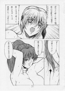 (C57) [Shibarism (Shibari Kana)] DA2 (Dead or Alive) - page 28