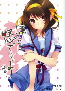 [Toward the Sky (Yuuka)] Honto wa Okotteru no yo! Baka... | I Really Am Angry! Idiot... (Suzumiya Haruhi no Yuuutsu) [English] [life4Kaoru] [Decensored] [2011-04-22]