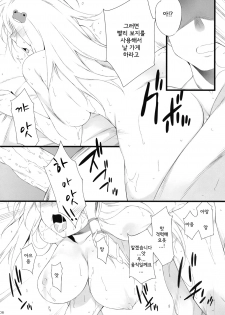 (C77) [douganebuibui (Aburidashi Zakuro)] Irasshai, Ai no Niwa (Touhou Project) (korean) - page 6
