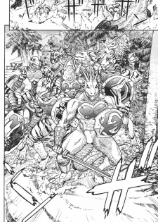 (C72) [From Japan (Aki Kyouma)] FYC R11Y (Queen's Blade, Soulcalibur) [Digital] - page 23