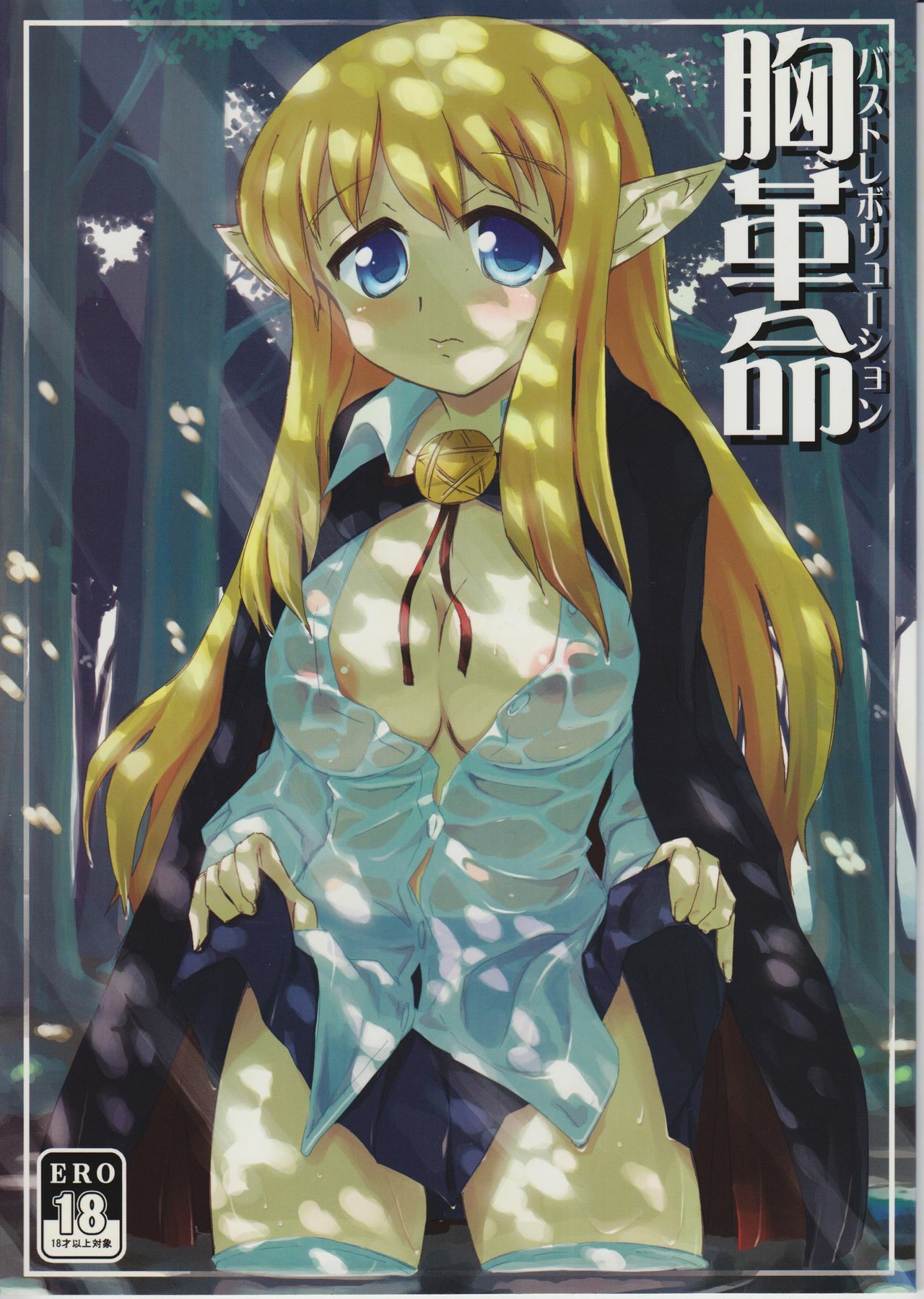 (C74) [Zi, 66 no Oka, Tsurukiya (Mutsuki Ginji, 66-Muou)] Mune Kakumei Bust Revolution (Zero no Tsukaima) page 34 full