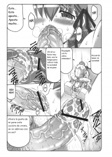 (SC47) [Abarenbow Tengu (Izumi Yuujiro)] Kotori 5 (Fate/stay night) [Spanish] {Kurotao} - page 13