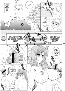 (C74) [SUBSONIC FACTOR (Tajima Ria)] CHICK CHICK CHICK (BLEACH) [Spanish] [ElMoeDela8] - page 12