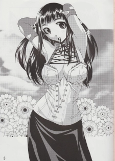 (COMIC1☆3) [Shain No Shoujo (Sakurai Ayu, Hiro)] Mahou Ruby (Rosario + Vampire) - page 3