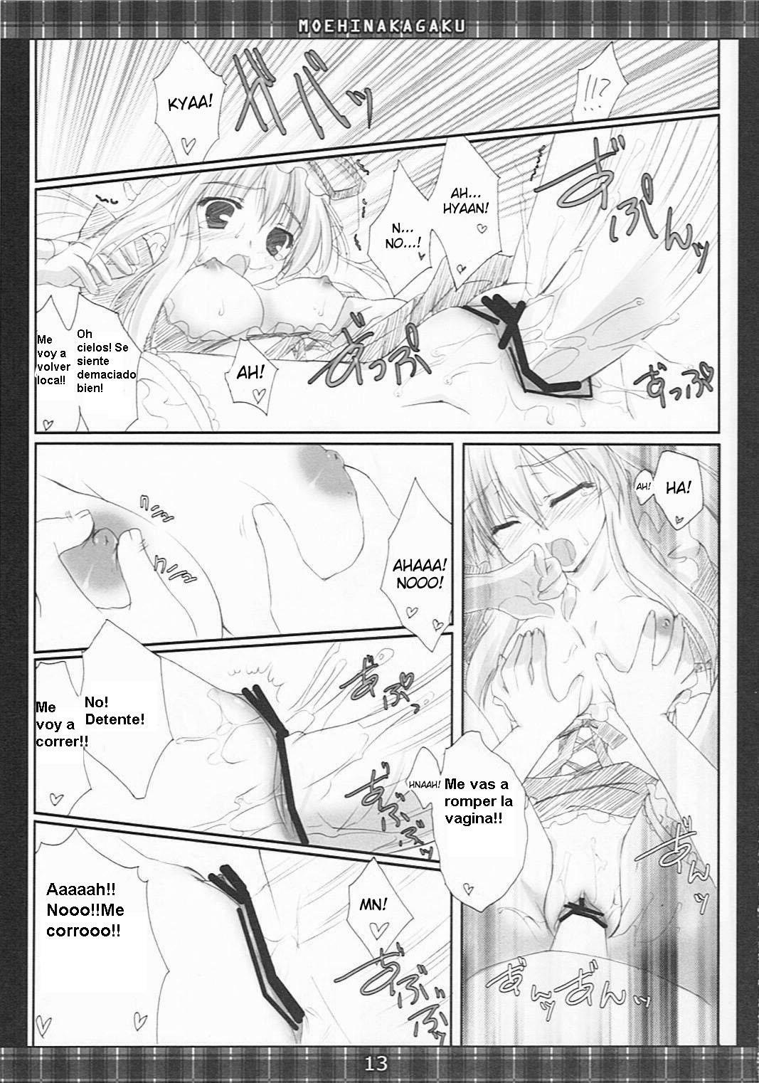 [Moehina Kagaku] - Whimsical Parasite 2 (Touhou) (Kurotao) (Spanish) page 13 full