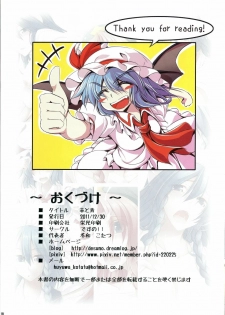 (C81) [Desuno!! (Fuyuwa Kotatsu)] Aka to Ao (Touhou Project) - page 17