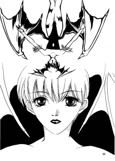 [Apostrophe S (Kudara Naizou, Hiryuu Takahiro, Otou Serina)] FIRE AND ICE (Darkstalkers) - page 46