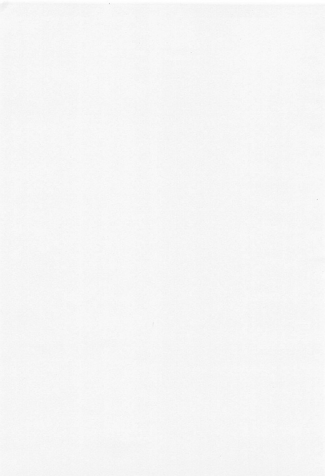 (C53) [Zaregotoya (Marudi)] Hitotsu Han page 2 full
