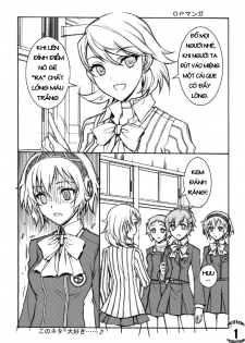 (C77) [Kaishaku] KAISHAKU P3P (Persona 3) [Vietnamese Tiếng Việt] - page 3