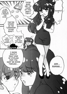 (C76) [LETTA, Romantic Shinjuu (Various)] Hyakka Ran Ran (Ranma 1/2) [English] [SaHa] - page 21