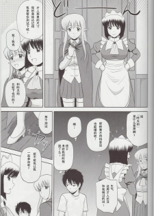 (C81) [G-Scan Corp. (Satou Chagashi)] Le Beau Maitre 9 (Zero no Tsukaima) [Chinese] [年糕汉化组] - page 24
