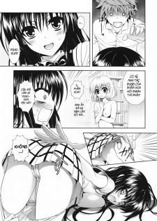 (C80) [ORENGE DICE (Fujino Mahiro)] IMPOSSIBLE! (To LOVE-Ru)[Vietnamese] - page 17
