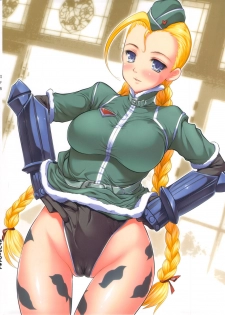 (C82) [STUDIO HUAN (Raidon, Buchou Chinke, Kadou)] SF IV (Street Fighter) - page 42