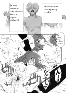 (C75) [CAZA MAYOR (Tsutsumi Akari)] ToyHeart Vol. 6 (ToHeart2) [Spanish] [Kurotao] - page 9