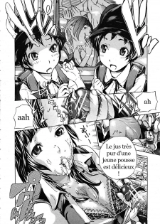 [Sasagawa Hayashi] Inran Ressha Nadeshiko [French] {trad.agidyne} - page 13
