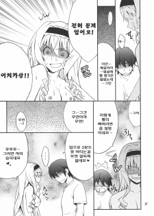(C80) [P-FOREST (Hozumi Takashi)] Cecilia de Night (IS ) [Korean] [Team Arcana] - page 16