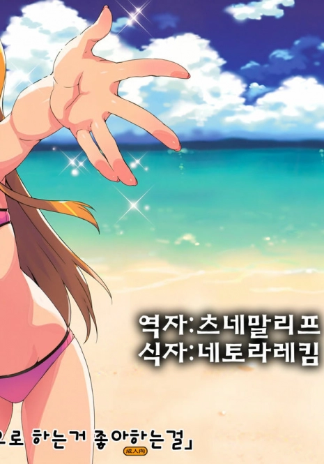 (C82) [Number2 (Takuji)] Datte Aniki wa Nama Ecchi Suki damon (Ore no Imouto ga Konna ni Kawaii Wake ga Nai) (korean)