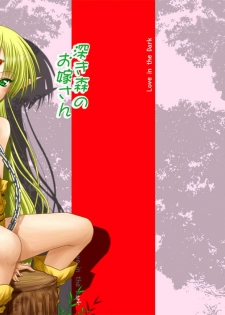 [Ai Wa Kurayami (Marui Ryuu)] Fukakimori no Oyomesan (Record of Lodoss War) [Digital]