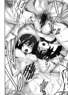 (C82) [Honnou to Yokubou no Gyuutan (Yorisuke)] Saru no Hito to Dekkai hou tono Yatsu (Nisemonogatari) - page 19