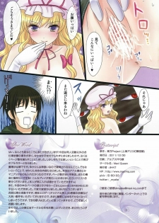 (C81) [Maxi Queen (Myake)] Totsugeki! Yukari no Bangohan (Touhou Project) - page 15
